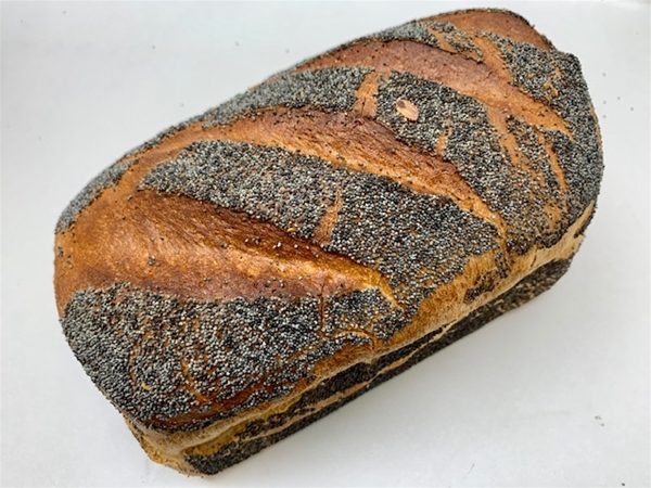 Rotterdammer maanzaad